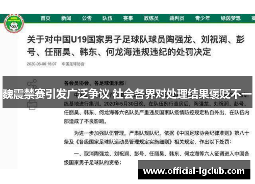 魏震禁赛引发广泛争议 社会各界对处理结果褒贬不一
